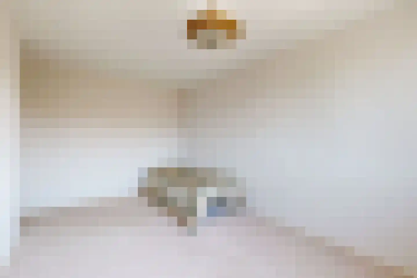 Nieuwe Dorpsweg 19 Fijnaart thumbnail 39