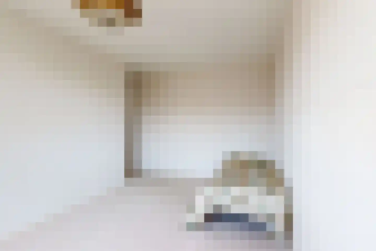 Nieuwe Dorpsweg 19 Fijnaart thumbnail 40