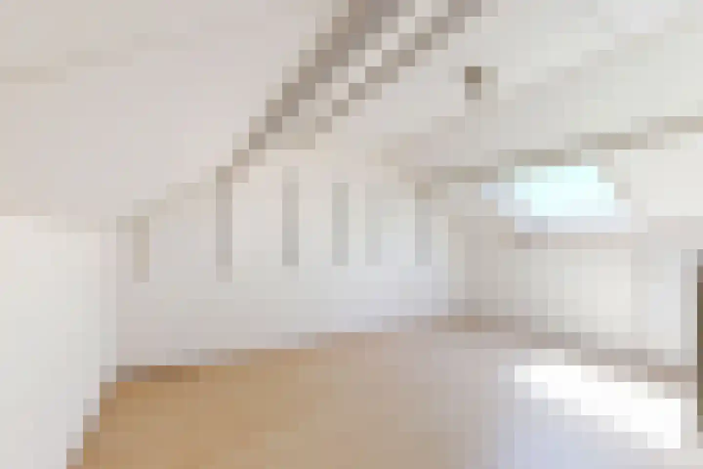 Nieuwe Dorpsweg 19 Fijnaart thumbnail 5