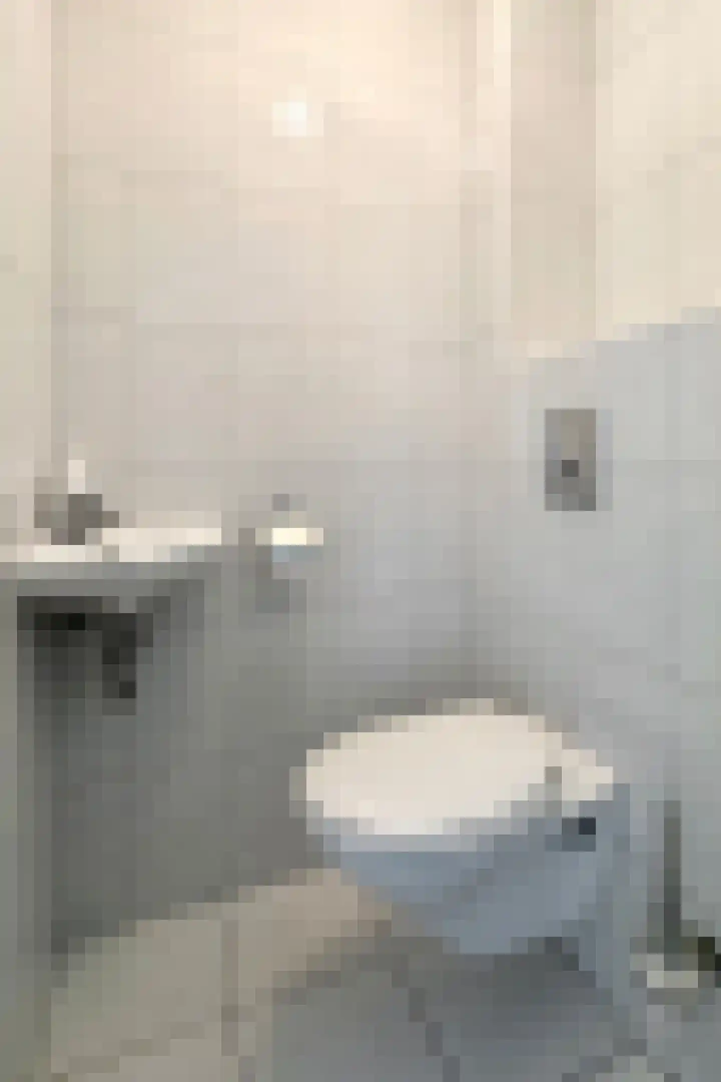 Nieuwe Dorpsweg 19 Fijnaart thumbnail 8