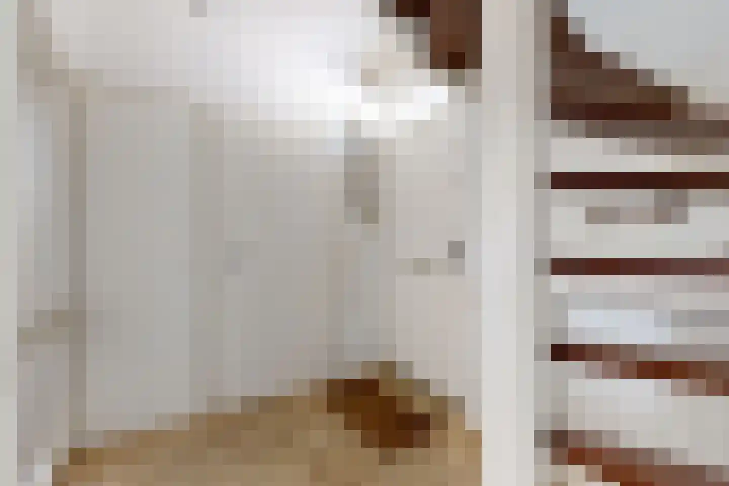 Nieuwe Dorpsweg 19 Fijnaart thumbnail 9
