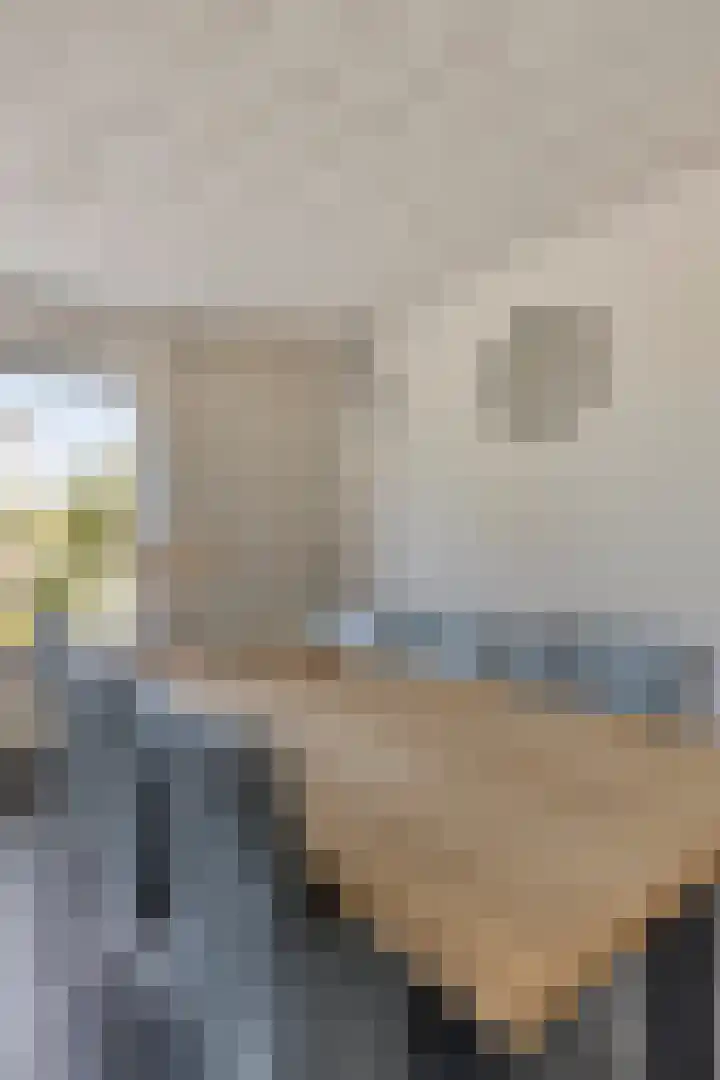 Nieuwe Dorpsweg 35 Fijnaart thumbnail 11