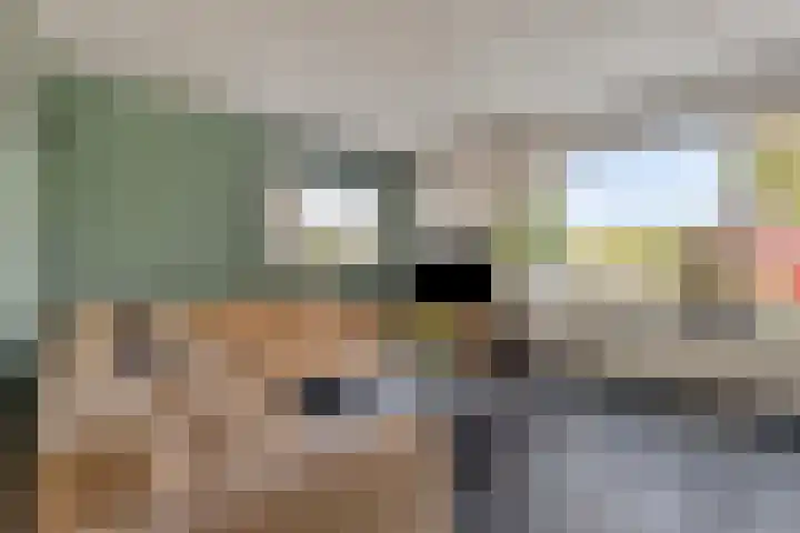 Nieuwe Dorpsweg 35 Fijnaart thumbnail 12