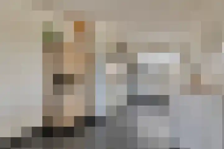 Nieuwe Dorpsweg 35 Fijnaart thumbnail 16