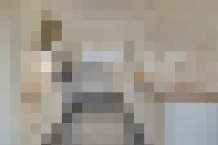 Nieuwe Dorpsweg 35 Fijnaart thumbnail 17