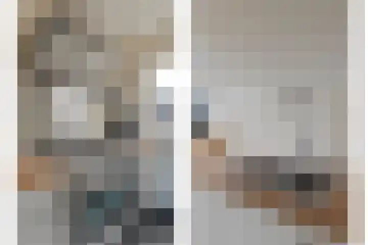 Nieuwe Dorpsweg 35 Fijnaart thumbnail 20