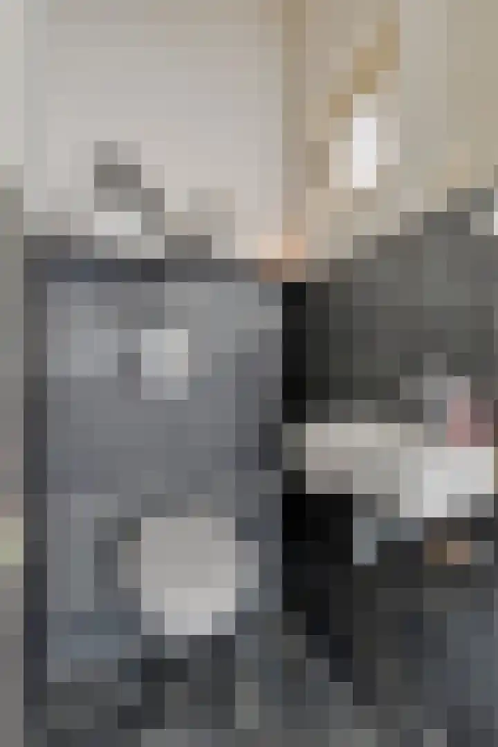 Nieuwe Dorpsweg 35 Fijnaart thumbnail 21