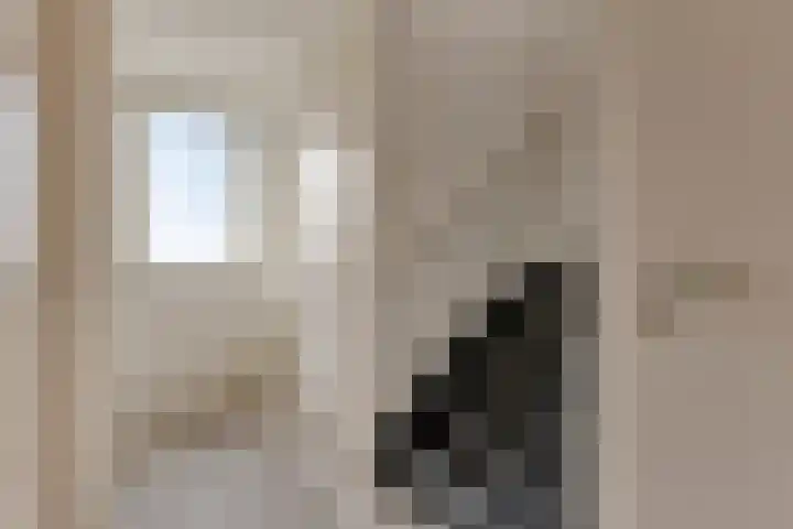 Nieuwe Dorpsweg 35 Fijnaart thumbnail 22
