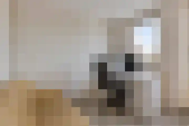 Nieuwe Dorpsweg 35 Fijnaart thumbnail 25