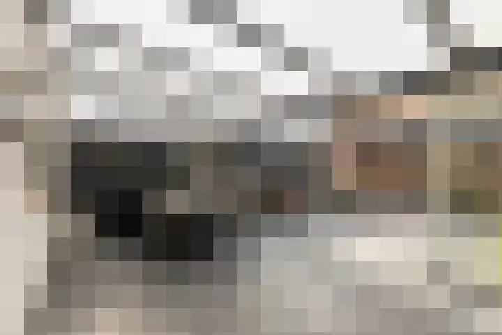 Nieuwe Dorpsweg 35 Fijnaart thumbnail 32