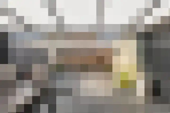 Nieuwe Dorpsweg 35 Fijnaart thumbnail 33