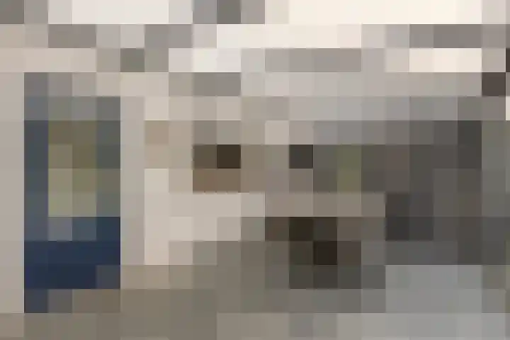 Nieuwe Dorpsweg 35 Fijnaart thumbnail 34