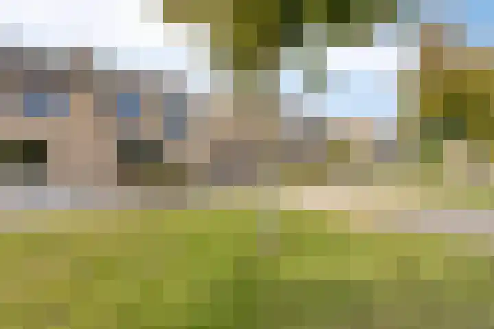 Nieuwe Dorpsweg 35 Fijnaart thumbnail 43