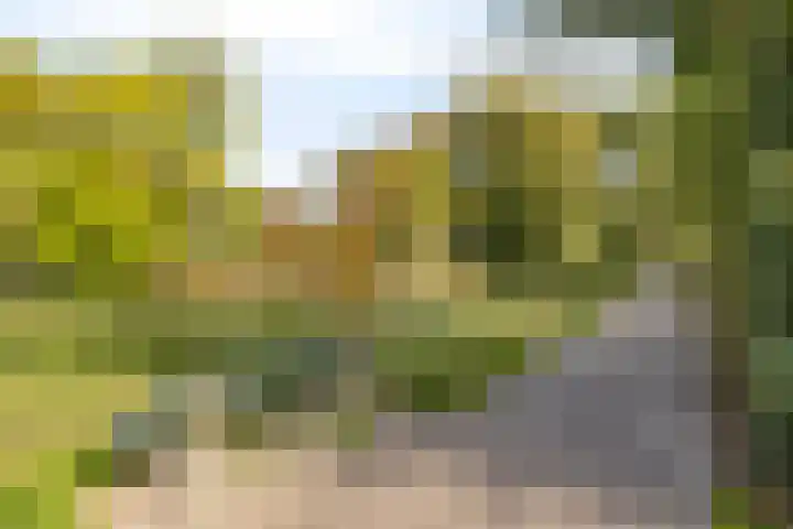 Nieuwe Dorpsweg 35 Fijnaart thumbnail 45