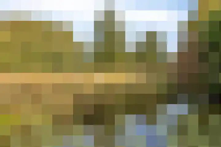 Nieuwe Dorpsweg 35 Fijnaart thumbnail 46