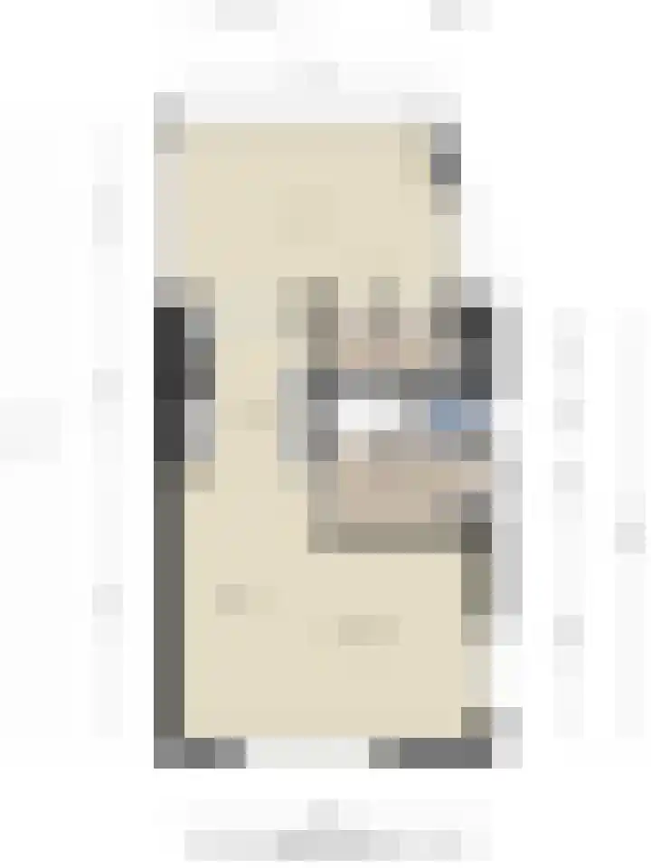 Nieuwe Dorpsweg 35 Fijnaart thumbnail 47