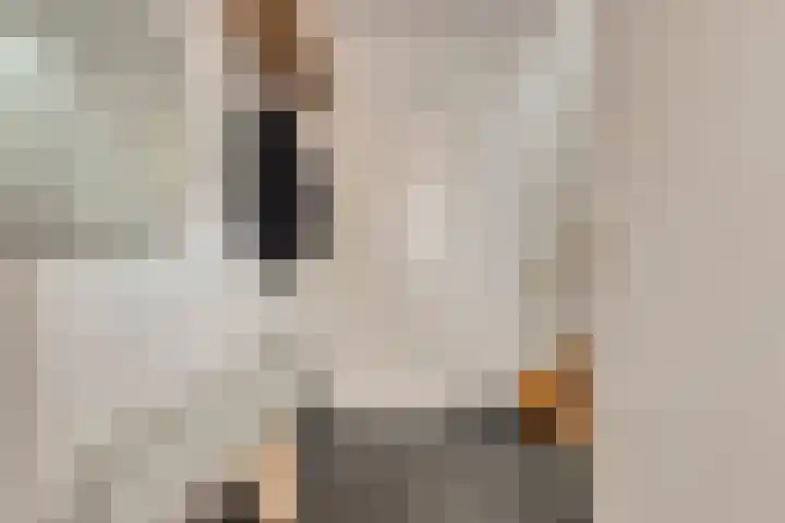 Nieuwe Dorpsweg 35 Fijnaart thumbnail 8