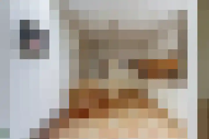 Nieuwe Dreef 36 Ulvenhout thumbnail 10