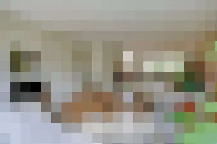 Nieuwe Dreef 36 Ulvenhout thumbnail 11