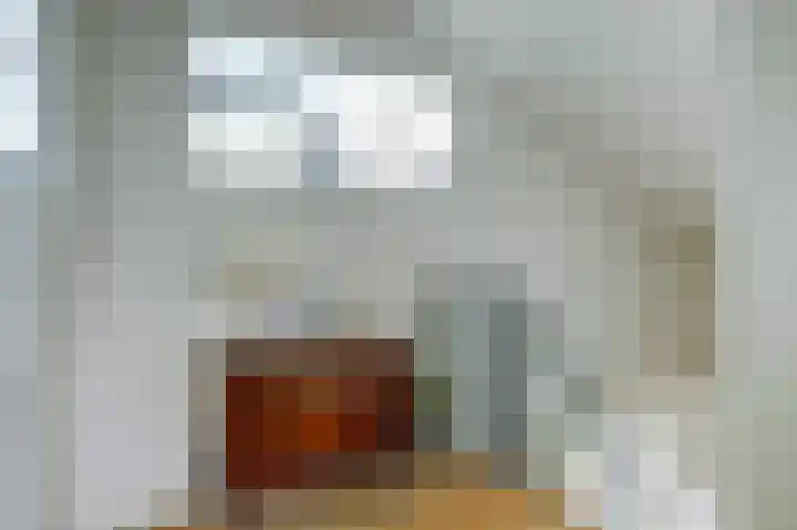 Nieuwe Dreef 36 Ulvenhout thumbnail 20