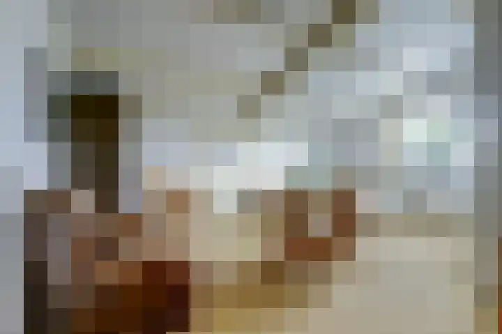 Nieuwe Dreef 36 Ulvenhout thumbnail 21