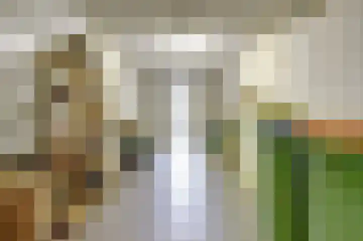 Nieuwe Dreef 36 Ulvenhout thumbnail 26