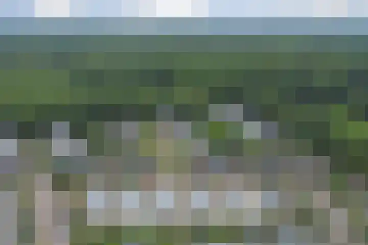 Nieuwe Dreef 36 Ulvenhout thumbnail 28