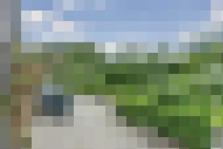 Nieuwe Dreef 36 Ulvenhout thumbnail 29