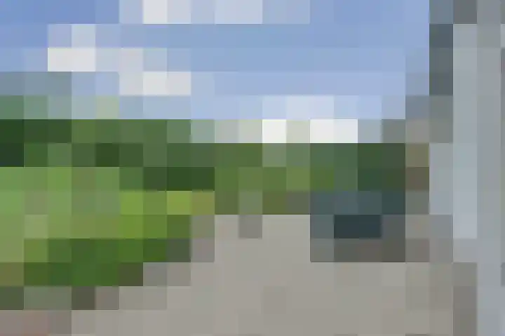 Nieuwe Dreef 36 Ulvenhout thumbnail 4