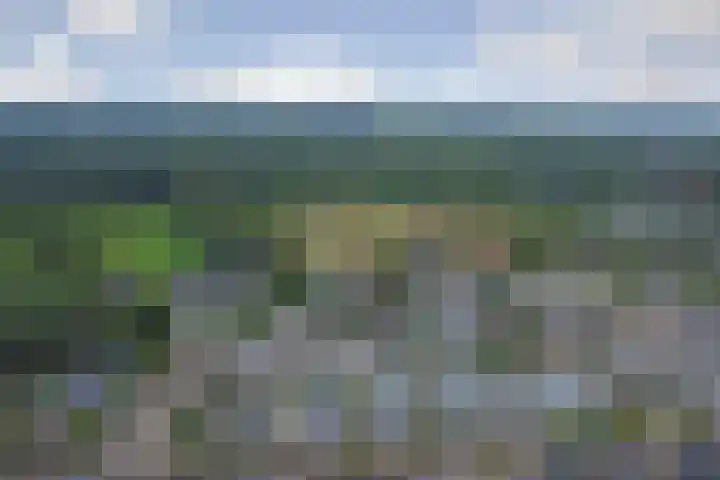 Nieuwe Dreef 36 Ulvenhout thumbnail 5