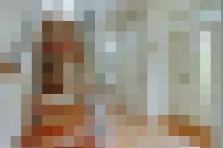 Nieuwe Dreef 36 Ulvenhout thumbnail 7