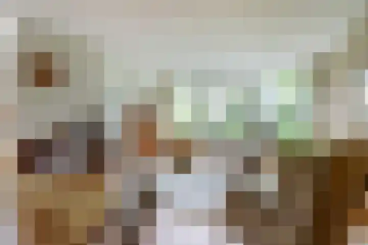 Nieuwe Dreef 36 Ulvenhout thumbnail 9