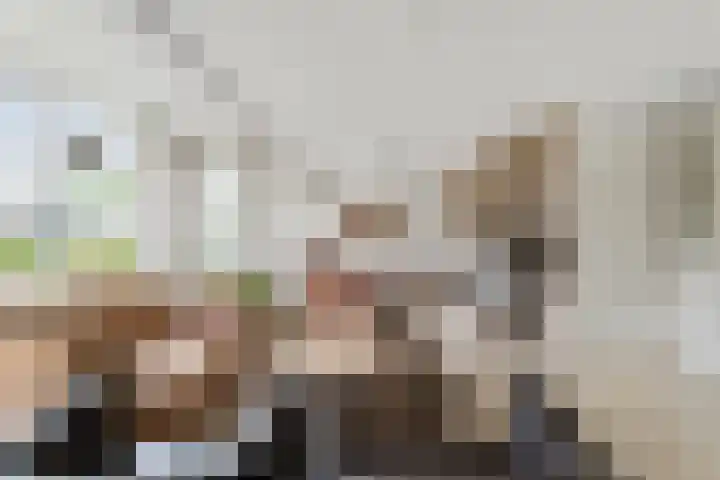 Nieuwe Dreef 43 Ulvenhout thumbnail 11