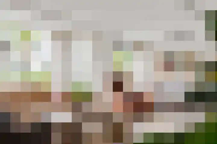 Nieuwe Dreef 43 Ulvenhout thumbnail 12