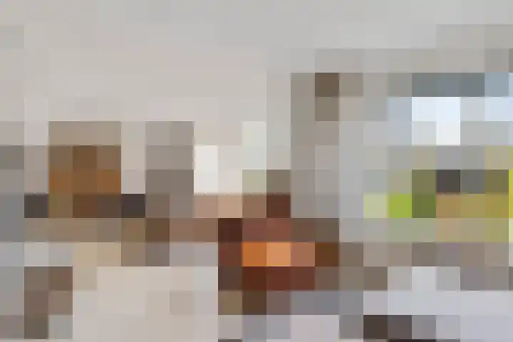 Nieuwe Dreef 43 Ulvenhout thumbnail 17