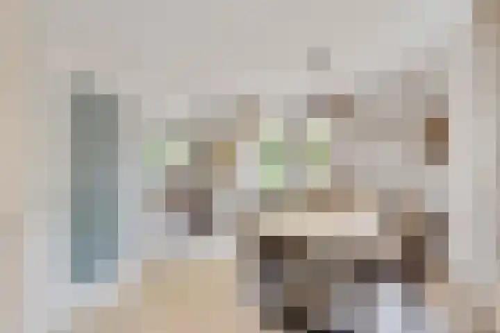 Nieuwe Dreef 43 Ulvenhout thumbnail 19