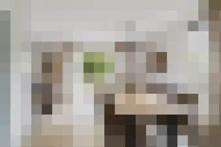 Nieuwe Dreef 43 Ulvenhout thumbnail 20