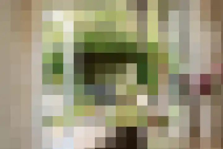 Nieuwe Dreef 43 Ulvenhout thumbnail 21