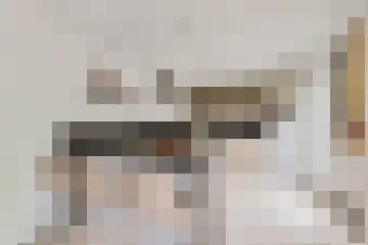 Nieuwe Dreef 43 Ulvenhout thumbnail 23