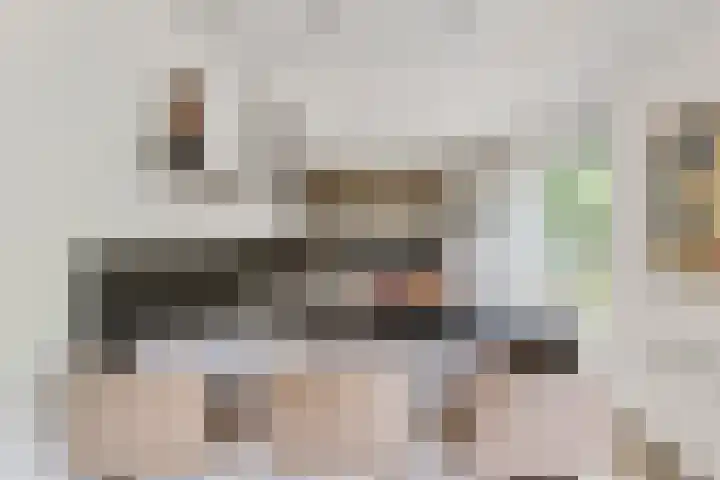 Nieuwe Dreef 43 Ulvenhout thumbnail 24