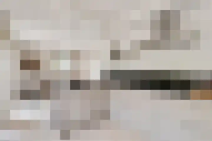 Nieuwe Dreef 43 Ulvenhout thumbnail 25