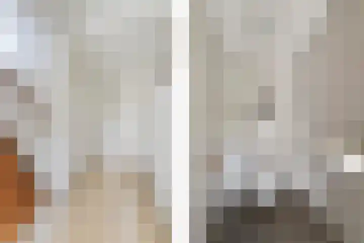 Nieuwe Dreef 43 Ulvenhout thumbnail 27