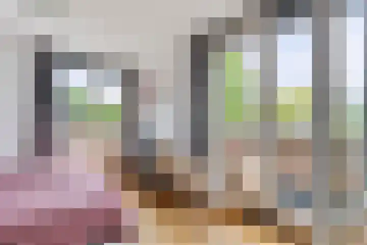 Nieuwe Dreef 43 Ulvenhout thumbnail 30