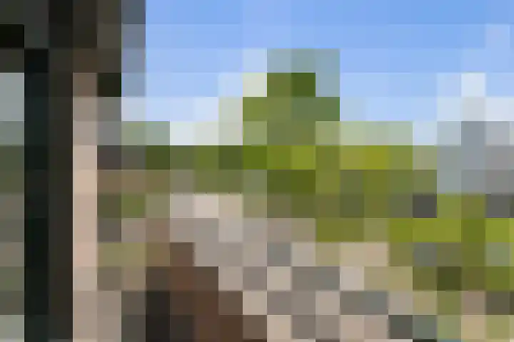 Nieuwe Dreef 43 Ulvenhout thumbnail 31