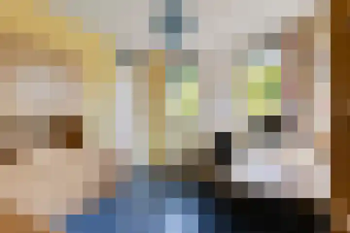 Nieuwe Dreef 43 Ulvenhout thumbnail 35