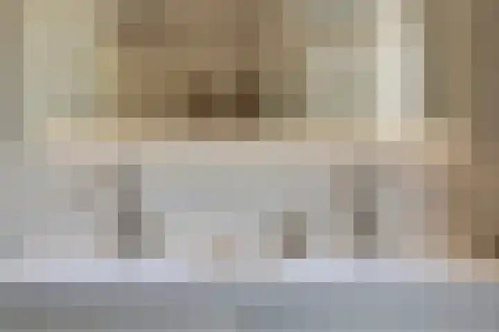 Nieuwe Dreef 43 Ulvenhout thumbnail 37