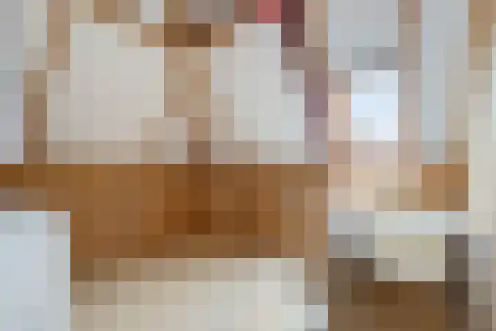Nieuwe Dreef 43 Ulvenhout thumbnail 40