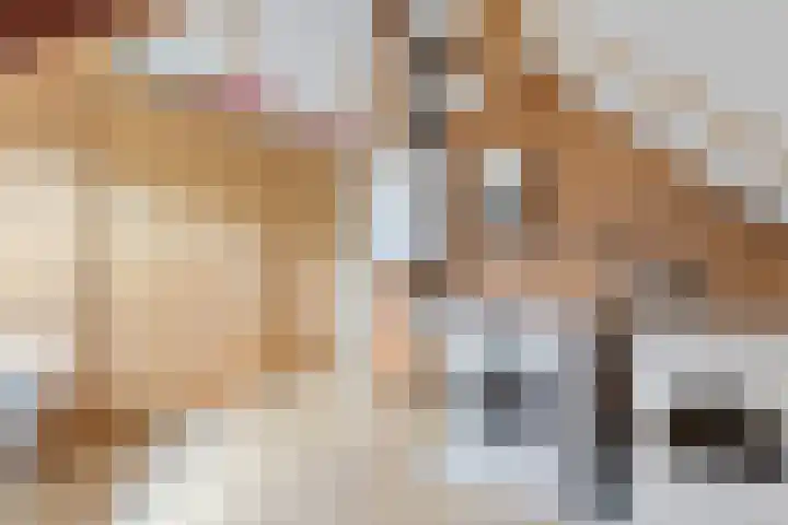 Nieuwe Dreef 43 Ulvenhout thumbnail 41