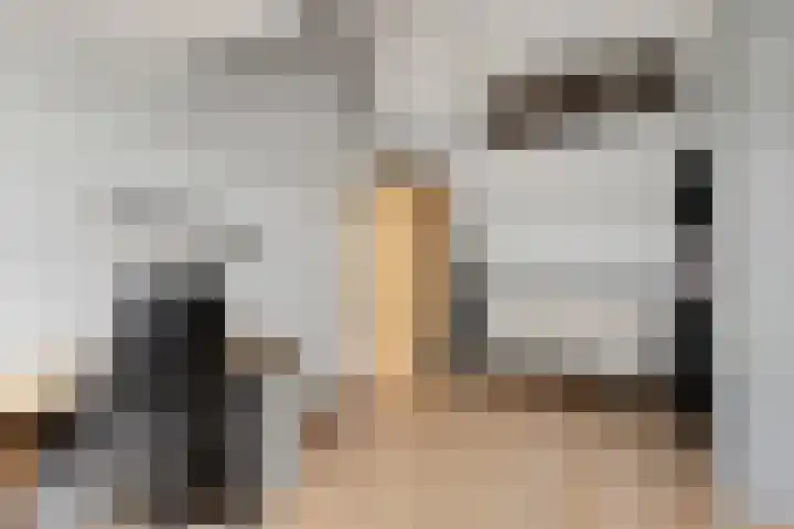 Nieuwe Dreef 43 Ulvenhout thumbnail 43