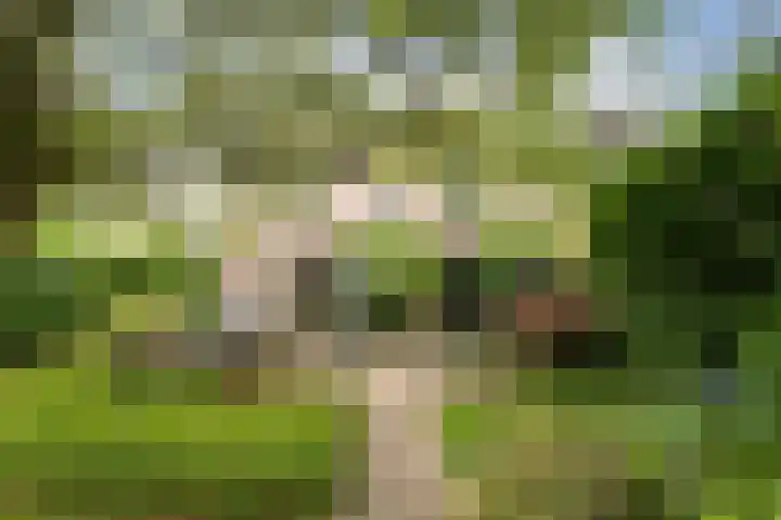 Nieuwe Dreef 43 Ulvenhout thumbnail 45